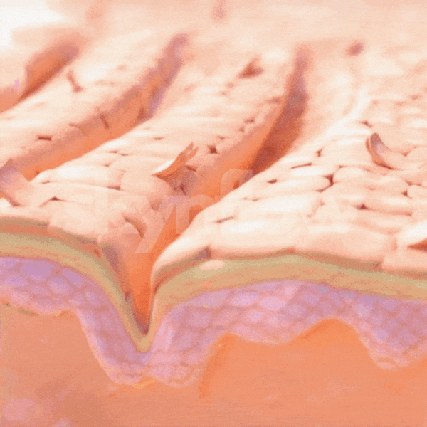 2. Advanced Occlusive Shield (Stops Product Evaporation)